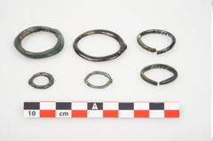 Foto von Bronzering (NHMW-PRAE-025429)